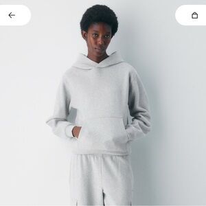 Aritzia Heather Gray Sweatshirt